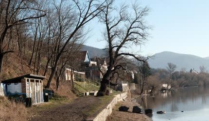 Természet - Zebegény - Duna-part