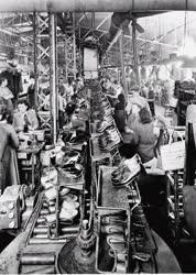 Gazdaság - Könnyűipar - Cipőgyártás 