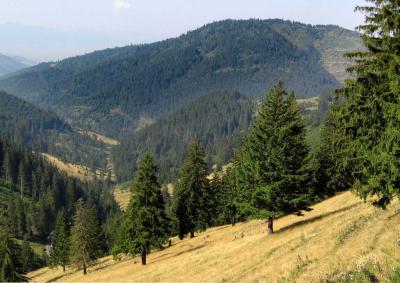 Tudomány - Technika - Műszerek