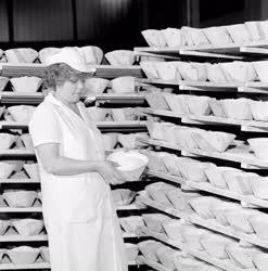 Ipar - Élelmiszeripar - Közép-Európa legmodernebb kenyérgyára