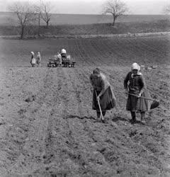 Mezőgazdaság - Tavaszi munka a termőföldön
