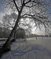 Természet - Debrecen - Befagyott a Vekeri tó