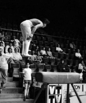 Sport - Mesterfokú férfi tornászbajnokság szerenkénti döntője