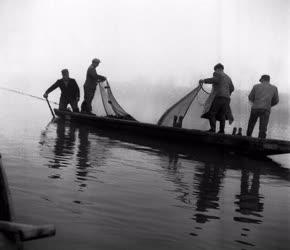 Mezőgazdaság - Téli halászat a Tiszán