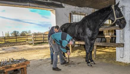 Állattenyésztés - Hortobágy - Lópatkolás a mátai ménesben