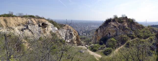 Természet - Budapest - Kőfejtő a Róka-hegyen