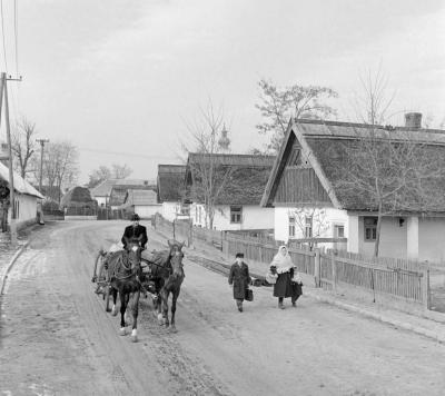 Mezőgazdaság - Gazdaság - Tsz-tag a járandóságát szállítja haza