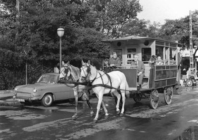 Közlekedés - Omnibusz a Városligetben