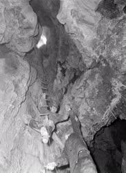 Természet - A felsőtárkányi cseppkőbarlangban