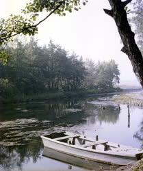 Természet - A tatai Öreg-tó