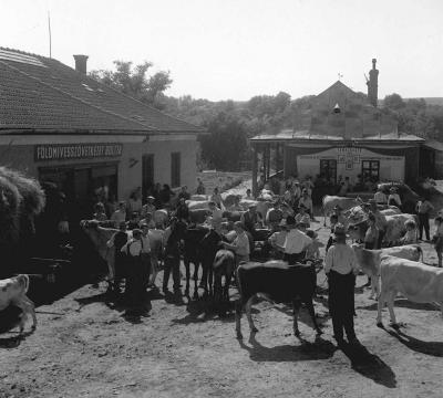 A szerző válogatása - Új belépők a Kossuth Tszbe