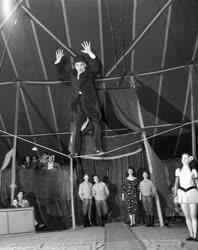 Szórakozás - Cirkusz - Ifjúsági Cirkusz előadása