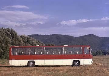 Közlekedés - Járműipar - Ikarus 250 típusú autóbusz