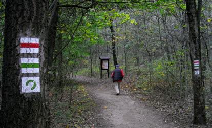 Természet - Törökbálint - Anna-hegy