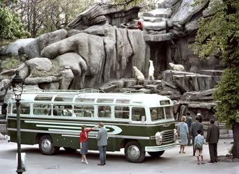 Ipar - Új Ikarus autóbusz bemutatója az Állatkertben