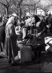 Városkép-életkép - Heti piac Törökszentmiklóson