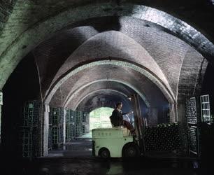 Szeszipar - Törley pezsgőgyár - Hét és félmillió palack pezsgő évente