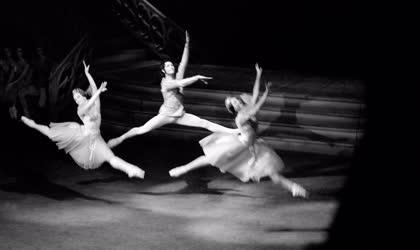 Kultúra - Balett - Csajkovszkij: Hattyúk tava az Operában