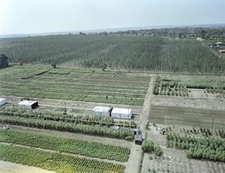 Mezőgazdaság - Délkelet-Dunántúli Mezőgazdasági Intézet 