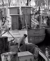 Életkép - Halász a warnemündei halászkikötőben