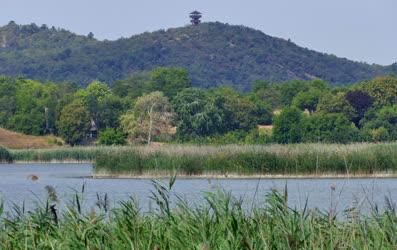 Természet - Tihany - Belső-tó csökkent vízmennyisége