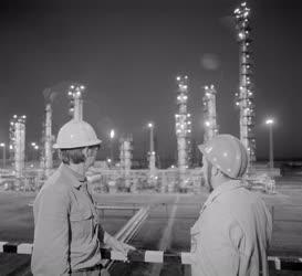 Ipar - Energiaipar - Az új gázfeldolgozó üzem látképe