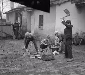 Társadalmi kérdés - Úttörők segítik az időseket