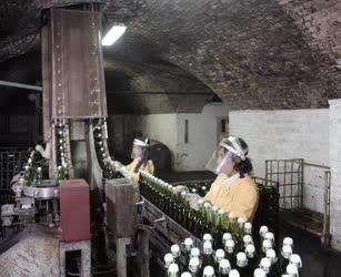 Szeszipar - Törley pezsgőgyár - Hét és félmillió palack pezsgő évente