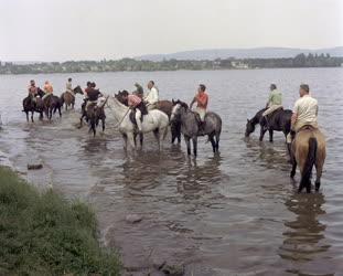 Életkép - Természet - Lovastúra résztvevői a tatai tónál