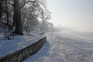 Természet - Zebegény - Téli Duna-part