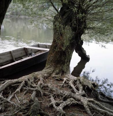 Természet - Táj - Szigetköz