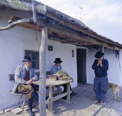 Folklór - Építőművészet - Életkép - Parasztház