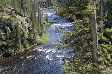 Tájkép - Yellowstone - Patak a Yellowstone Nemzeti Parkban