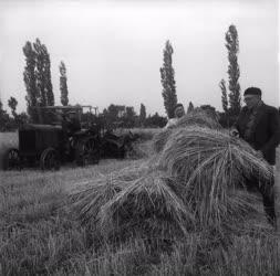Mezőgazdaság - Jászszentlászló - Lenin Tsz