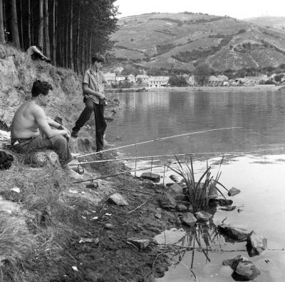 A szerző válogatása - Hétvége a Tisza-parton