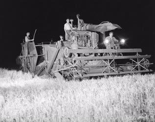 Mezőgazdaság - Éjszakai aratás 
