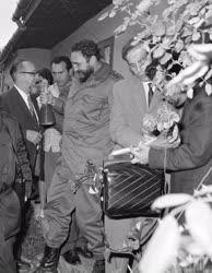 Külpolitika - Fidel Castro Fejér megyében