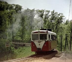 Közlekedés - Úttörővasút a Budai-hegységben   