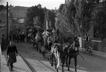 A szerző válogatása - Szüreti bál Egerben