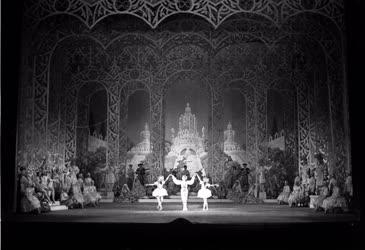 Kultúra - Balett - Csajkovszkij: A diótörő  