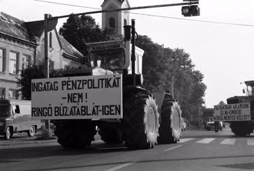 Belpolitika - Péter-Pál napi demonstráció Fejér megyében