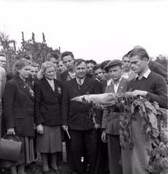 Mezőgazdaság - Szovjet parasztküldöttség Magyarországon 