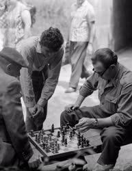 Hobbi - Sakkozó férfiak