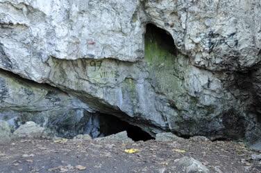 Természet - Naszály - Násznép-barlang