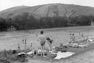 A szerző válogatása - Hétvége a Tisza-parton