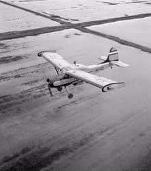 Mezőgazdaság - Repülőgépes rizsvetés