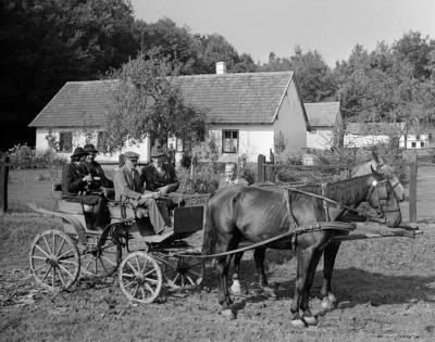 Mezőgazdaság - Szarvasvadászat a gemenci erdőben