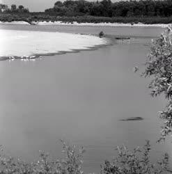 A szerző válogatása - a Felső-Tisza