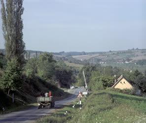 Tájkép - Bőszénfa