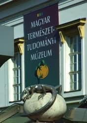 Városkép - Budapest - Természettudományi Múzeum 